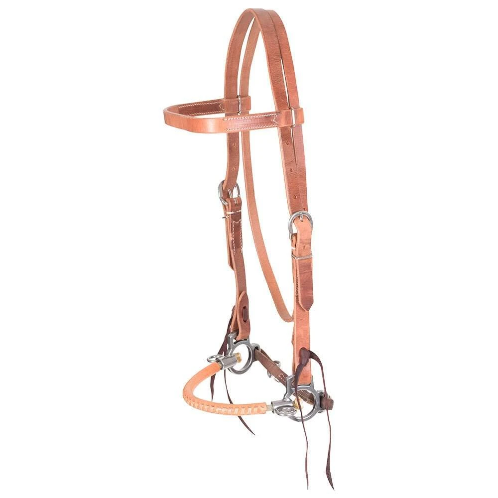 Jim Edwards Sidepull 1 Jim Edwards Sidepull