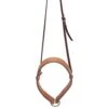Cactus Saddlery Relentless Harness Leather Noseband