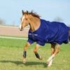 Horseware Ireland Amigo Hero 900 Turnout Medium 200g