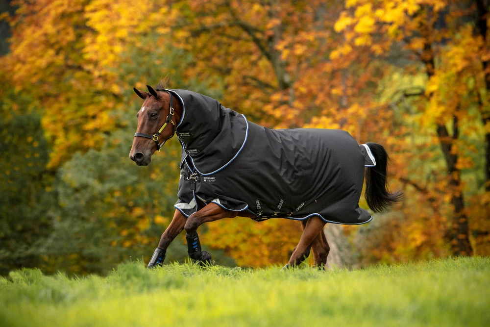 Horseware Ireland Amigo Bravo 12 Plus Turn Out Blanket 1 Horseware Ireland Amigo Bravo 12 Plus Turn Out Blanket