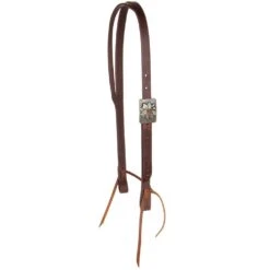 Cowperson Tack Exclusive Silver Sleepy Sunflower Slit Ear Headstall