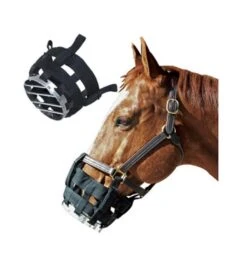Best Friend Cribbing Muzzle