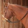 Martin Saddlery Loping Hackamore