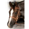 Professionals Choice Leather Trail Bridle