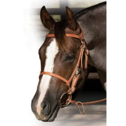 Professionals Choice Leather Trail Bridle