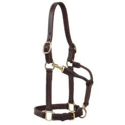 Weaver Leather Small Horse 1in Oiled Track Halter