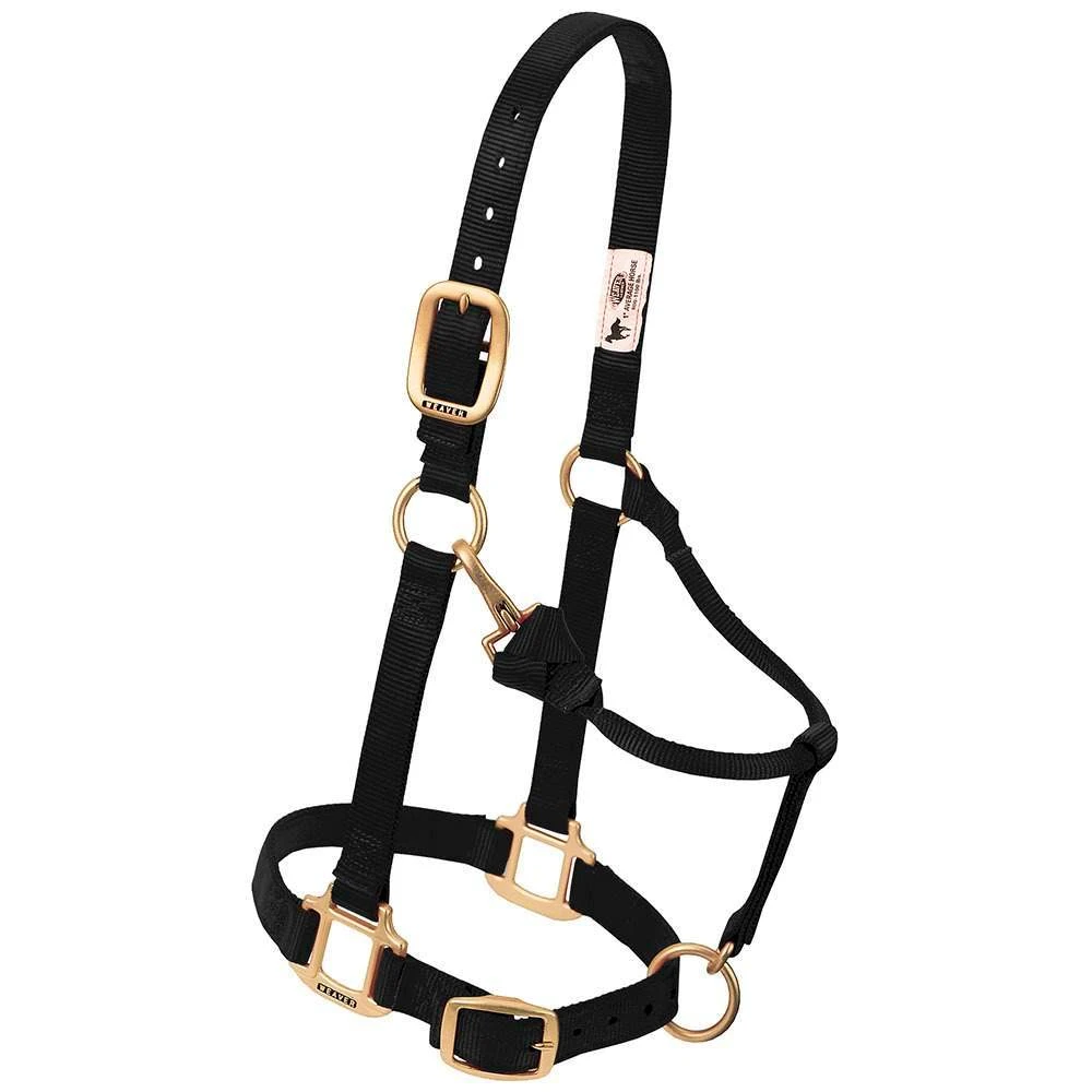 Weaver Leather Large Horse Adjustable Chin And Throat Snap Triple-Ply Nylon Halter 1 Weaver Leather Large Horse Adjustable Chin And Throat Snap Triple-Ply Nylon Halter