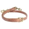 Professionals Choice Harness Leather Tie Down Strap W/Brass Snaps