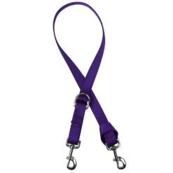 Professionals Choice Purple Nylon 1in Tie Down Strap