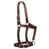 Weaver Leather Burgundy Latigo Leather Riveted Horse Halter