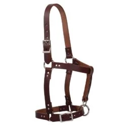 Weaver Leather 1in Oiled Horse Riveted Halter