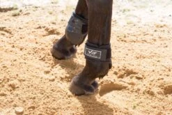 Partrade Trading Corporation Ventex 22 Pro Fetlock Boots