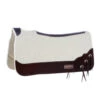 Reinsman 3/4 Inch Limited Edition Apex Western Sun Contour Felt Saddle Pad With Latigo Strings