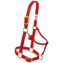 Weaver Leather Adjustable Nylon Weanling Halter