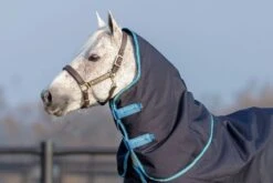 Horseware Ireland Amigo Bravo 12 T/O Hood 150g
