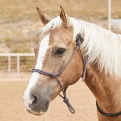 Steele Halters Average Horse Rope Halter -Saddle Gear Pro Sales 166289 default l