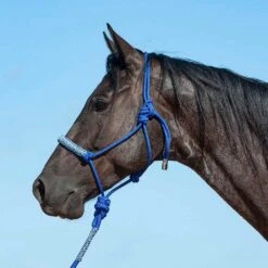 Cashel Company Camo Braided Rope Nose Halter