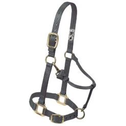 Weaver Leather Small Horse Adjustable Chin And Throat Snap Triple-Ply Nylon Halter -Saddle Gear Pro Sales 214152 662295
