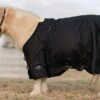 Professionals Choice Black 1200D Pony Winter Blanket