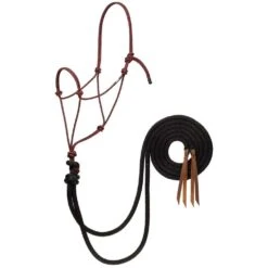 Weaver Leather Silvertip Big Sky Loping Halter With Split Reins