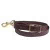 Professionals Choice 1in Chocolate Biothane Tie Down Strap