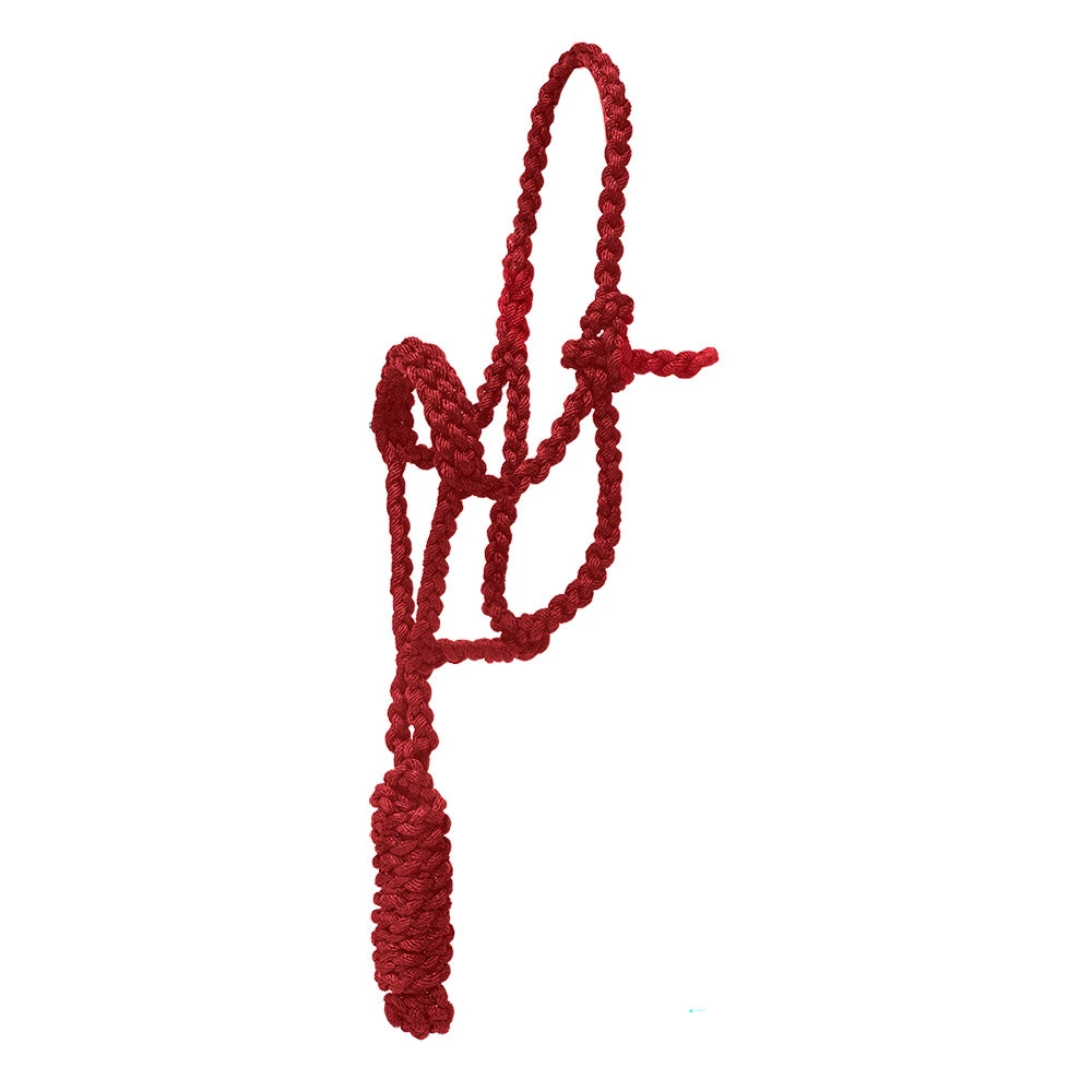 Mustang Pony Flat Braided Noseband Halter W/7ft Lead 1 Mustang Pony Flat Braided Noseband Halter W/7ft Lead