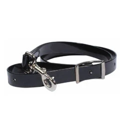 Professionals Choice 1in Biothane Tie Down Strap