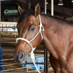 Caudle`S Halters Rope Nose Halter With An 8 1/2ft Lead Rope -Saddle Gear Pro Sales 231933 737610