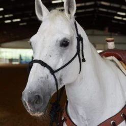 Caudle`S Halters Rope Nose Halter With An 8 1/2ft Lead Rope -Saddle Gear Pro Sales 231933 737611