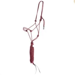 Classic Econo Halter And 9-Foot Leadrope -Saddle Gear Pro Sales 241613 789091
