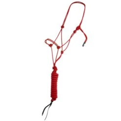 Classic Econo Halter And 9-Foot Leadrope -Saddle Gear Pro Sales 241613 789093