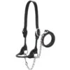 Weaver Leather Leather Dairy/Beef Show Halter
