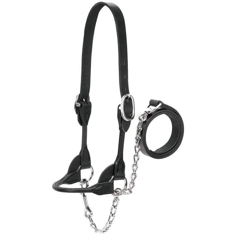 Weaver Leather Leather Dairy/Beef Show Halter 1 Weaver Leather Leather Dairy/Beef Show Halter