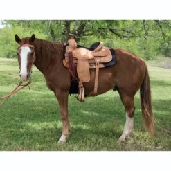 Circle Y Saddlery Guthrie Team Roper 6 Circle Y Saddlery Guthrie Team Roper -Saddle Gear Pro Sales 2778 2504 05 L2