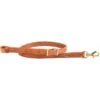 Nrs Tack Adjustable Leather Tiedown With Conway Buckle