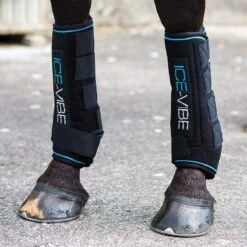 Horseware Ice-Vibe Ice Therapy Tendon Boots