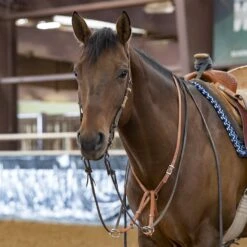 Professionals Choice Shutz Brothers Texas Training Fork -Saddle Gear Pro Sales 8054 OnDrifter