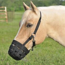 Cashel Company Grazing Muzzle Halter