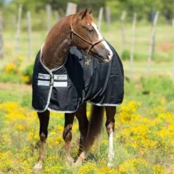 Horseware Amigo Stock Horse T/O Lite -Saddle Gear Pro Sales AARA1S KI00 2