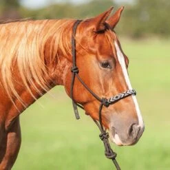 Cashel Company Black Beaded Rope Halter W/ 9ft Lead -Saddle Gear Pro Sales Ahtr brh bla