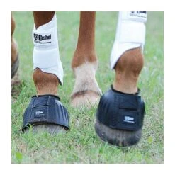 Cashel Company Rubber Horse Bell Boots 11 Cashel Company Rubber Horse Bell Boots -Saddle Gear Pro Sales BB BLAR life