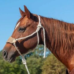 Cashel Company Braided Rope Halter W/Basket Stamp Leather Nose And Lead Rope -Saddle Gear Pro Sales HTR BRNLBT main