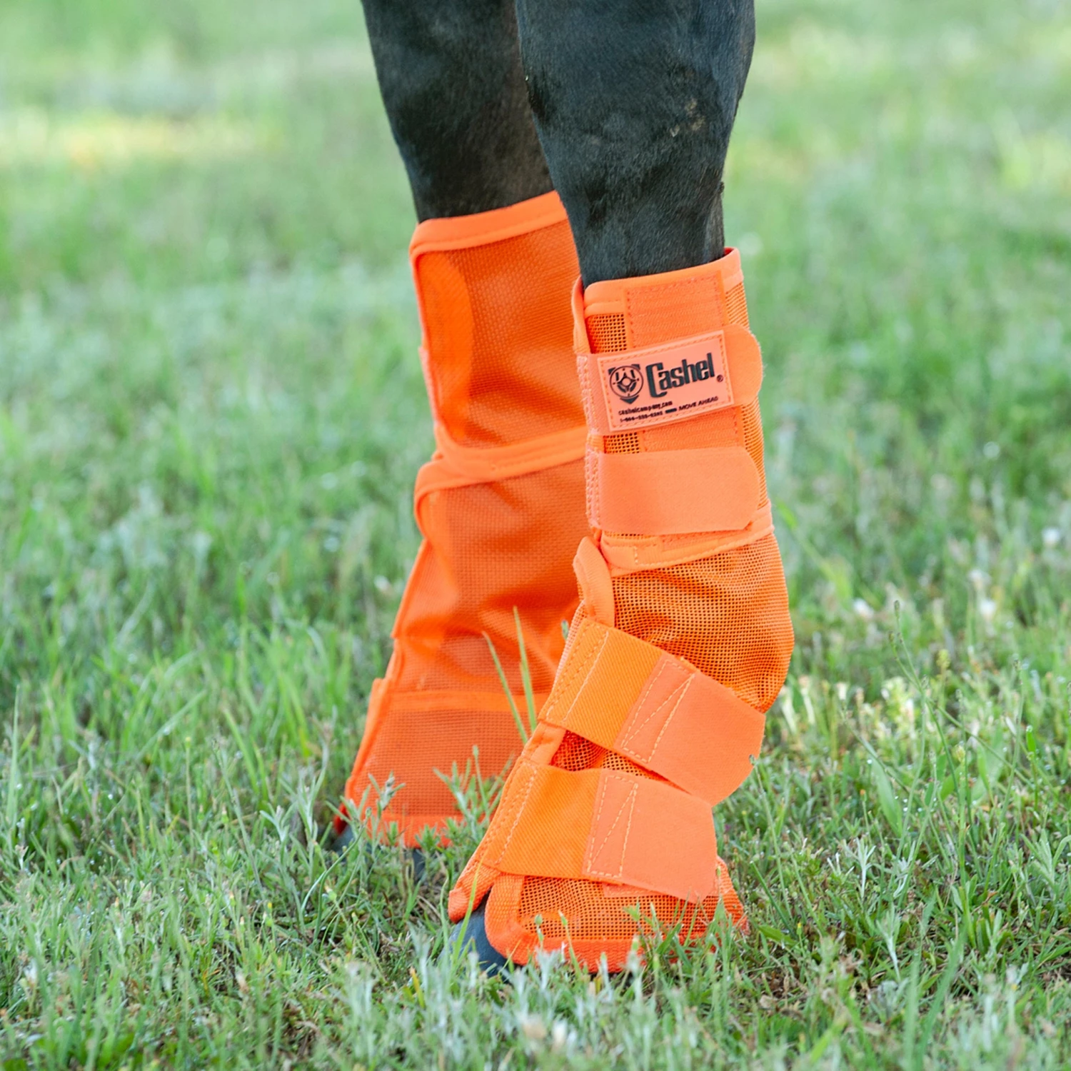 Cashel Company Orange Fly Guard Horse Leg Boots 5 Cashel Company Orange Fly Guard Horse Leg Boots - Image 5
