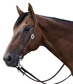 Nrs Tack Headstall With A Single Sunflower Buckle -Saddle Gear Pro Sales NRS SLTEHO 410D 1