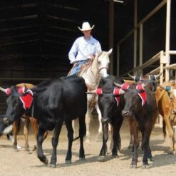 NRS Extreme Horn Wrap -Saddle Gear Pro Sales NRS XHW action