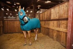 Beautiful Tails TAILS SLINKY SL2E -Saddle Gear Pro Sales SL2E 3