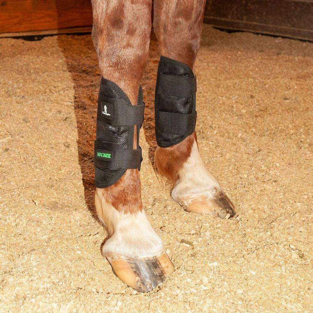 Classic Equine Black MagNTX Magnetic Tendon Wrap 2 Classic Equine Black MagNTX Magnetic Tendon Wrap - Image 2