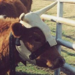 NRS Strap On Muley Horns -Saddle Gear Pro Sales ropinghorn2